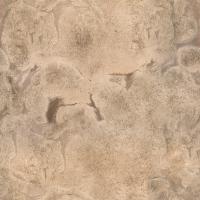 seamless wall plaster 0005